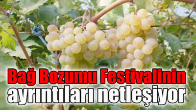 Besni Kaymakamlığı tarafından düzenlenen Bağ Bozumu Festivali kapsamında ödüllü üzüm