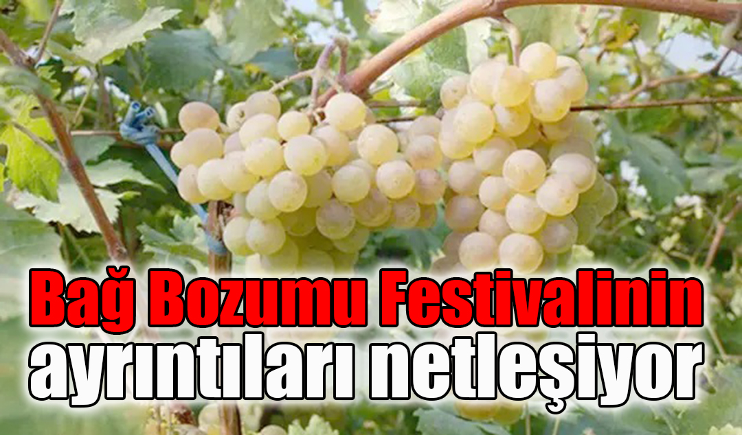 Bağ Bozumu Festivalinin Ayrıntıları Netleşiyor