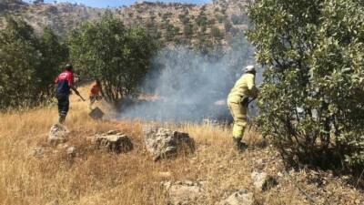 Mardin'in Savur ilçesinde, Durusu Mahallesi'nde bulunan ormanlık alanda çıkan yangın,