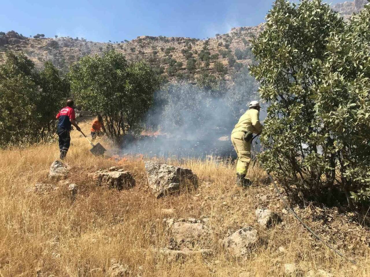 Ormanlık Alanda Çıkan Yangın Kontrol Altına Alındı