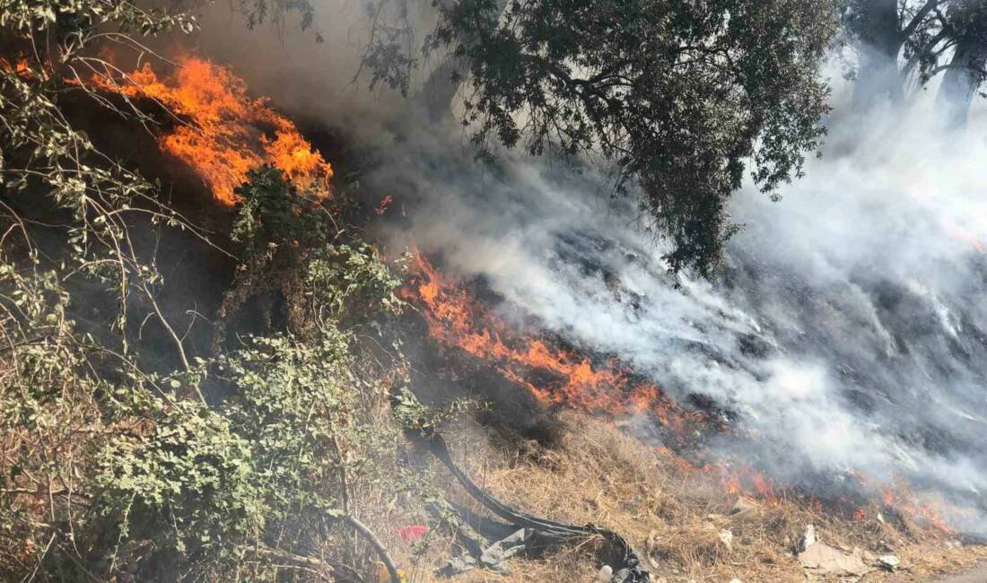 Adıyaman'da otluk alanda başlayan