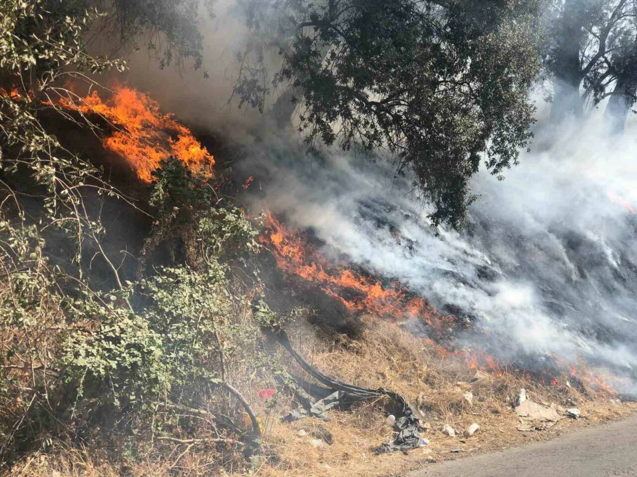 Adıyaman’da Otluk Alanda Çıkan Yangın Bahçeye Sıçradı