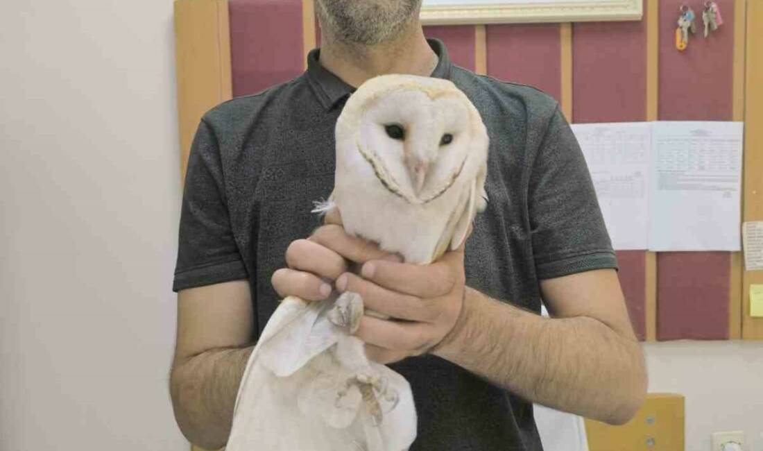 Adıyaman’da, bir okulda sınıfa