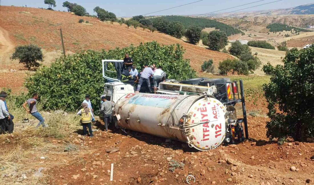 Adıyaman’da, ormanlık alan içerisinde