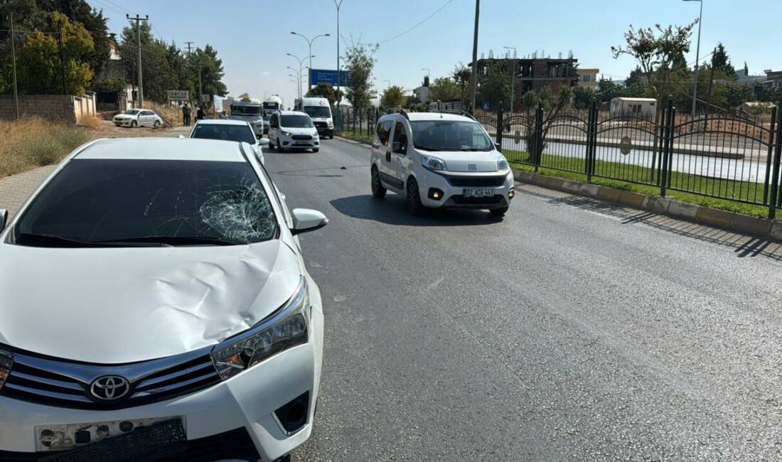 Adıyaman'ın Siteler Mahallesi'nde meydana