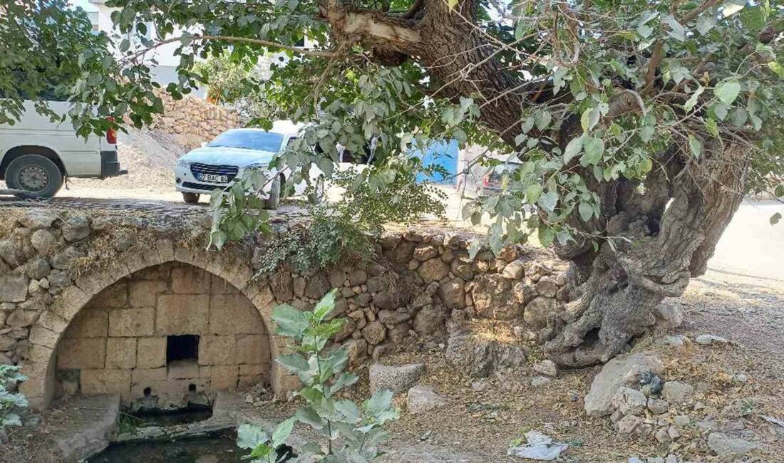 Gaziantep’in Araban ilçesinde bulunan