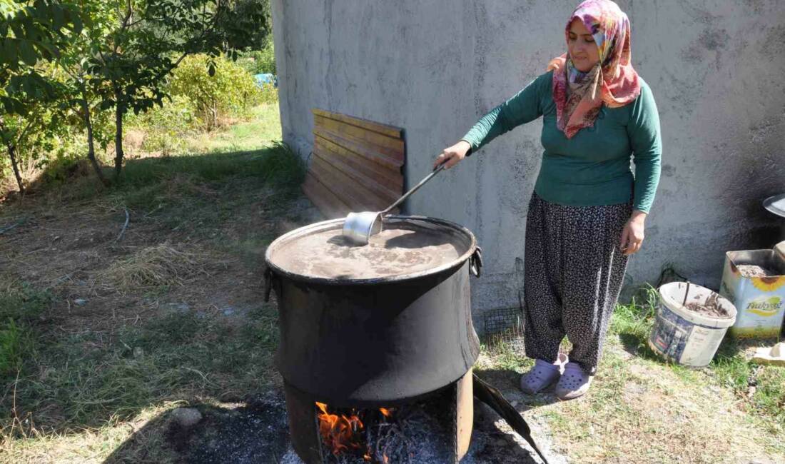 Batman’ın Sason ilçesinde, bağ