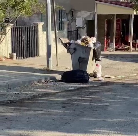 Adıyaman’ın Sincik ilçesinde, çöp