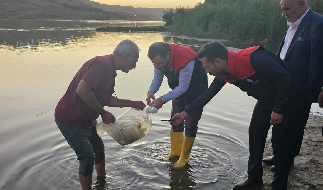 Şırnak'ın Cizre ilçesinde, "Su