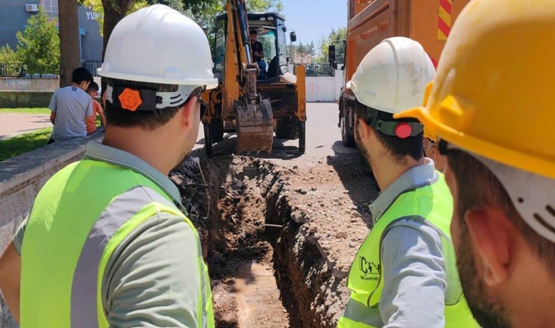 Dicle Elektrik, Batman'da özelleşme