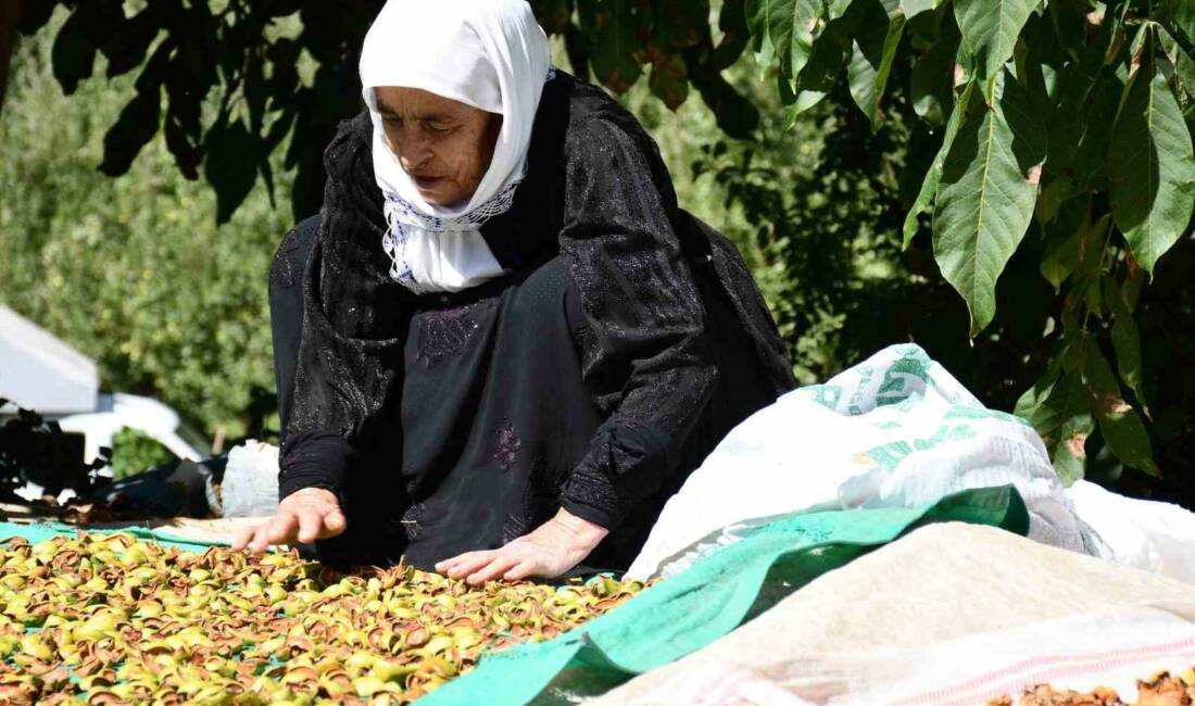 Şırnak’ın Beytüşşebap ilçesinde havaların