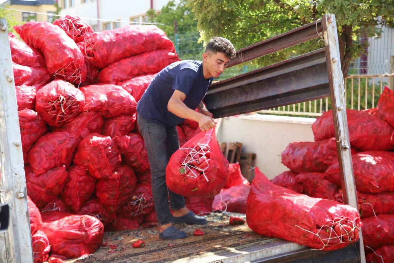 Salça Üretim Mesaisi Hız Kazandı