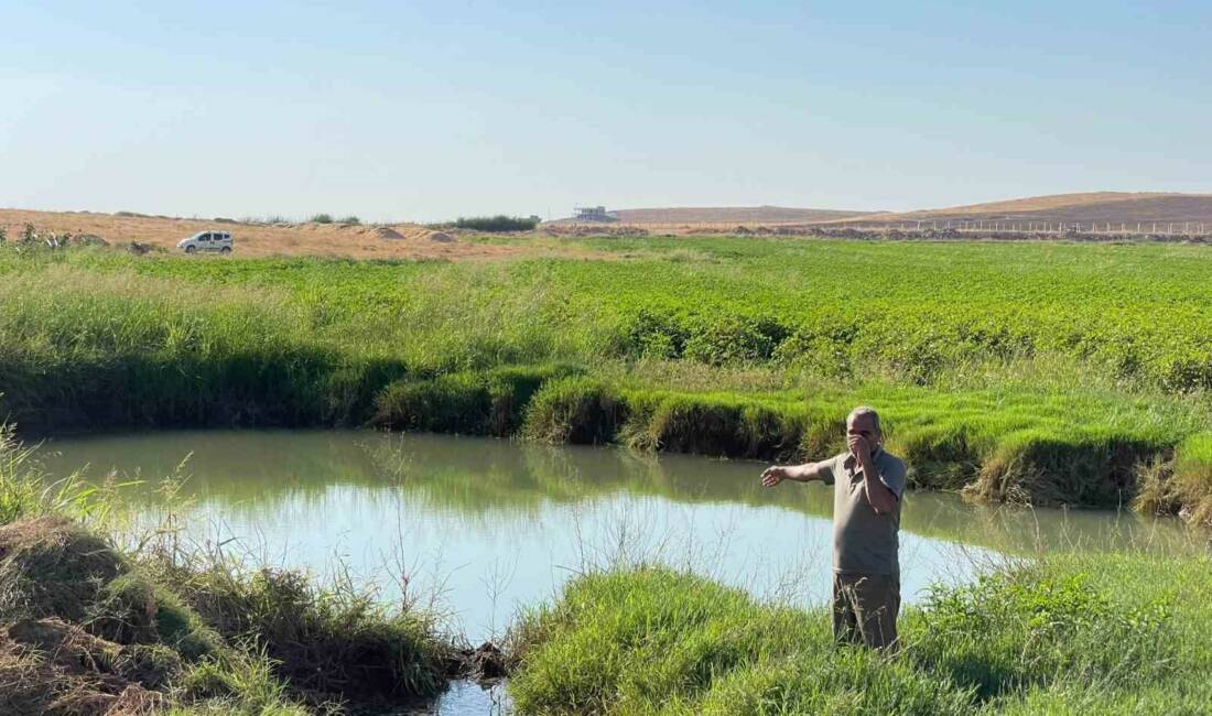 Harran Ovası'ndaki Dev Obruklar