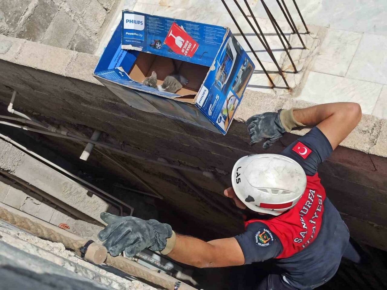 Havalandırma Boşluğuna Düşen Yavru Kediler Kurtarıldı