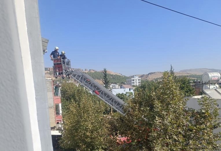 Adıyaman’da Mahsur Kalan Güvercin İtfaiye Ekiplerince Kurtarıldı