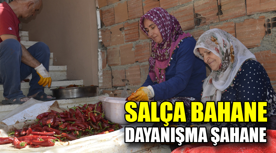 SALÇA BAHANE DAYANIŞMA ŞAHANE