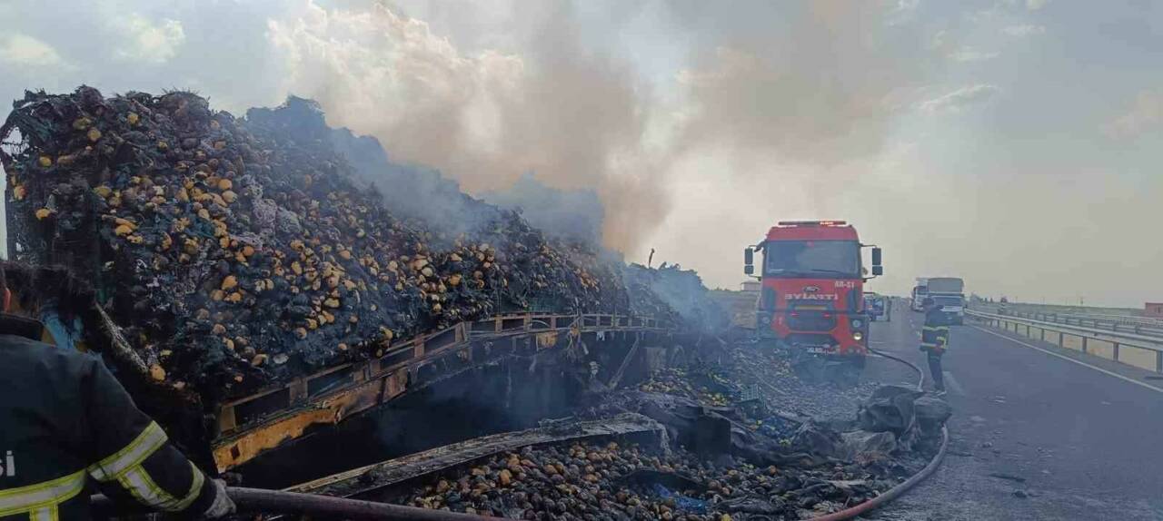 Armut Yüklü Tır Yangında Kullanılamaz Hale Geldi