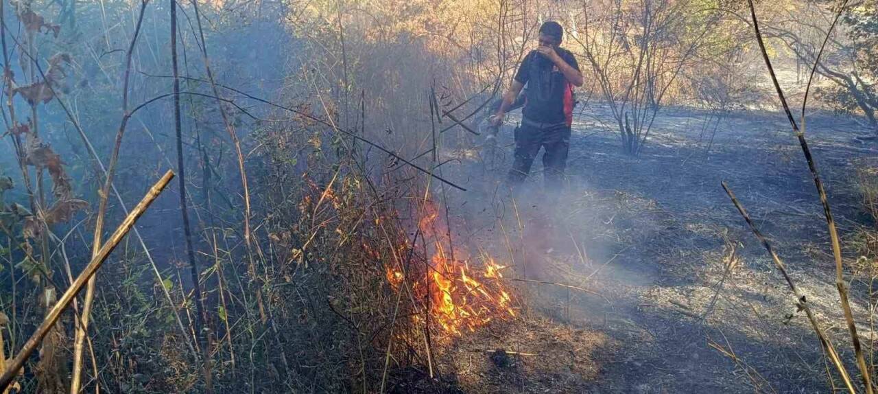 Ormanlık Alanda Çıkan Yangın Devam Ediyor