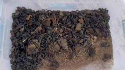 Şanlıurfa’da İzinsiz Toplanan 270 Akrep Ele Geçirild