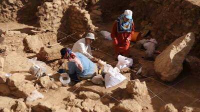Şanlıurfa’nın Karaköprü ilçesine bağlı Sayburç Mahallesi’nde, Neolitik Çağ’a ait önemli