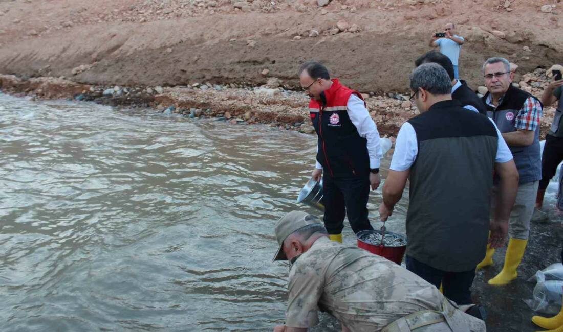 Tarım ve Orman Bakanlığı’nın