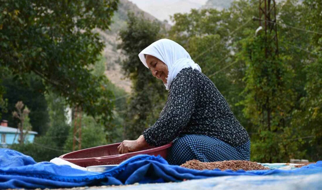 Şırnak’ın Uludere ilçesine bağlı