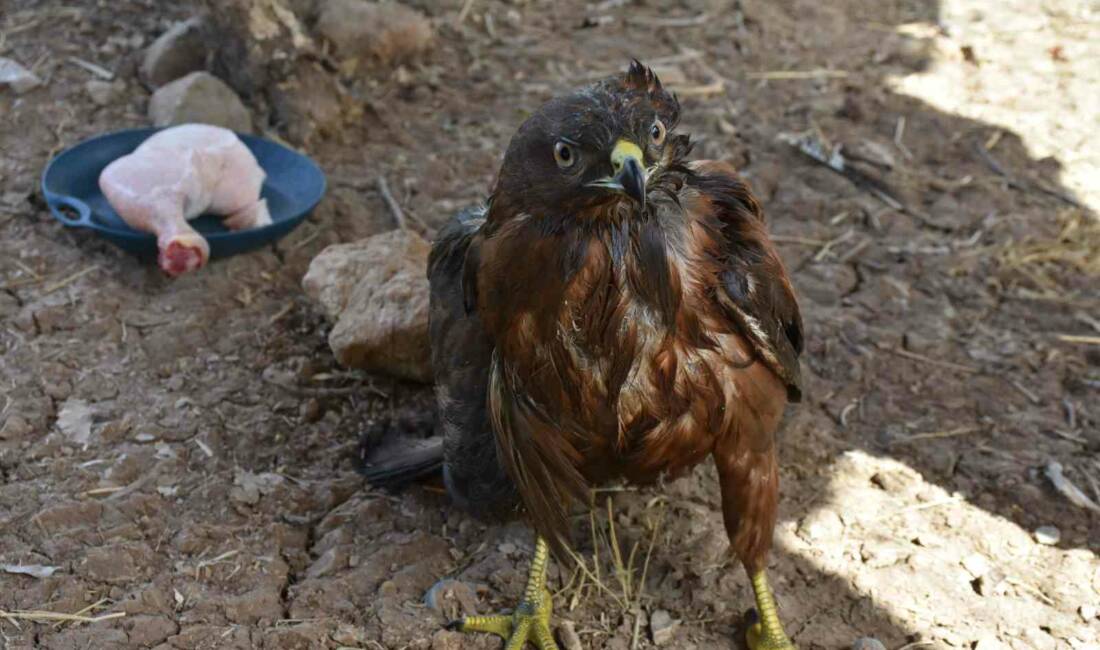 ŞIRNAK’TA DUYARLI VATANDAŞLAR TARAFINDAN