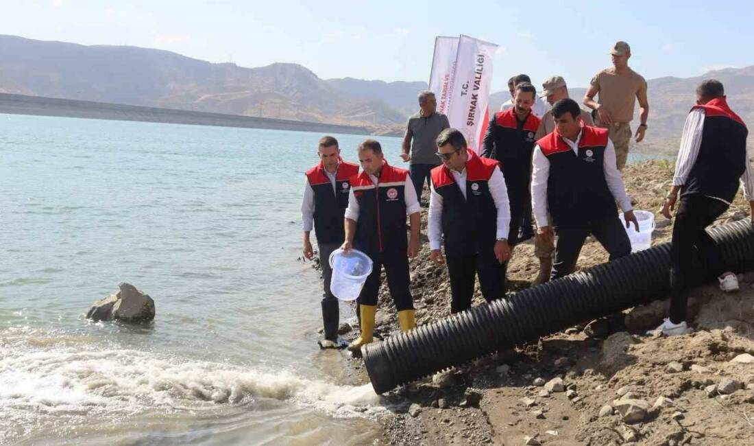 Şırnak’ta, ilçe ve beldelerdeki