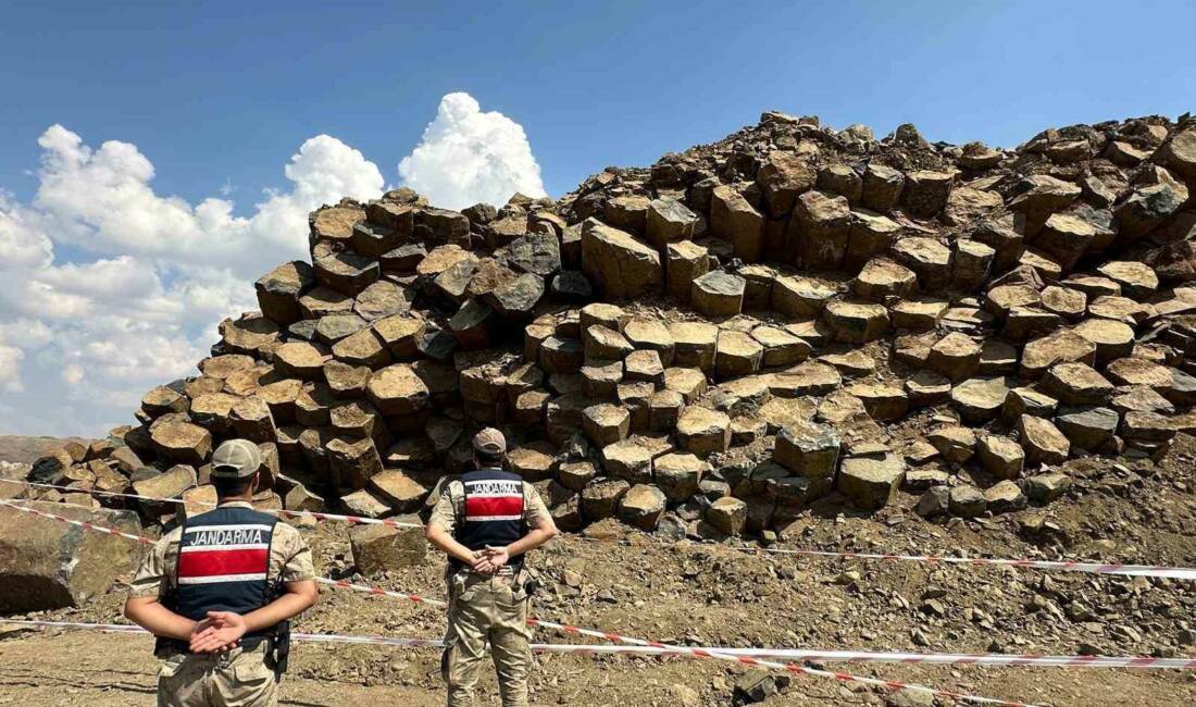 Şanlıurfa Valisi Hasan Şıldak,