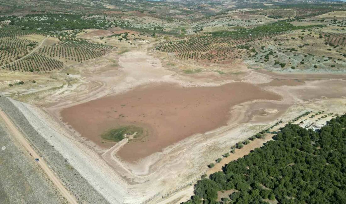 Kilis’in Musabeyli ilçesindeki Balıklı