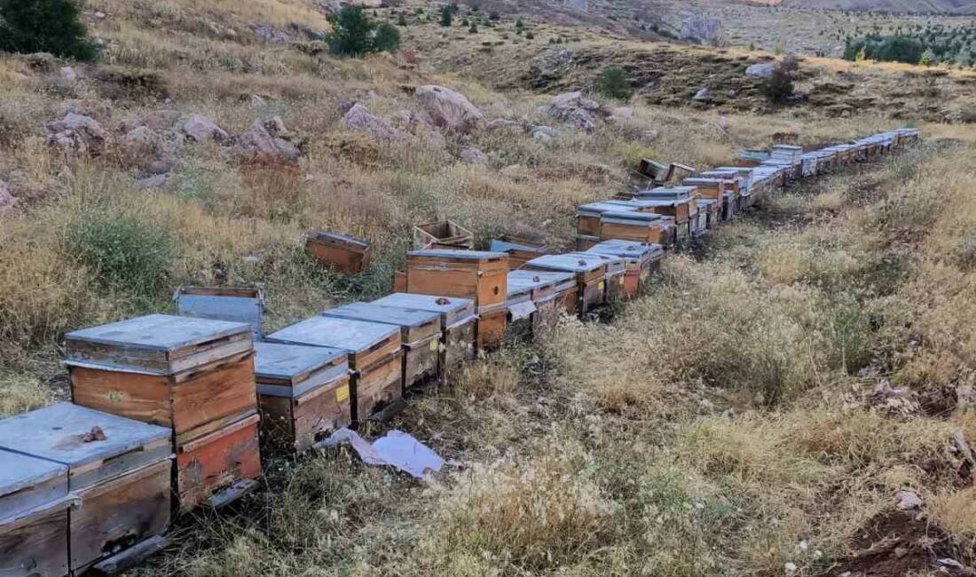 Adıyaman’ın Koçali Köyü'nde bulunan