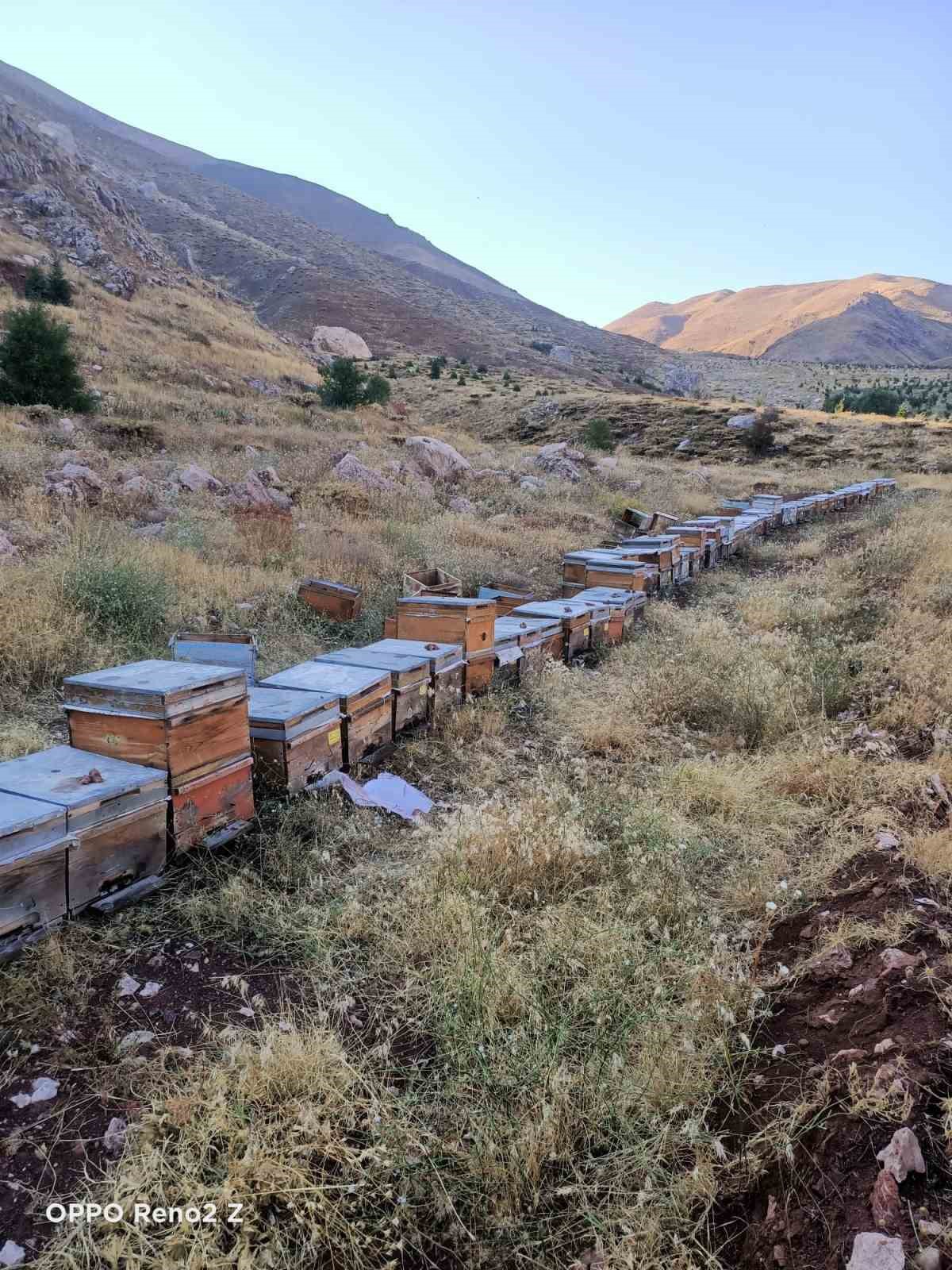 Adıyaman’ın Koçali Köyü'nde bulunan Ulubaba Dağı’nın eteklerinden elde edilen bal,