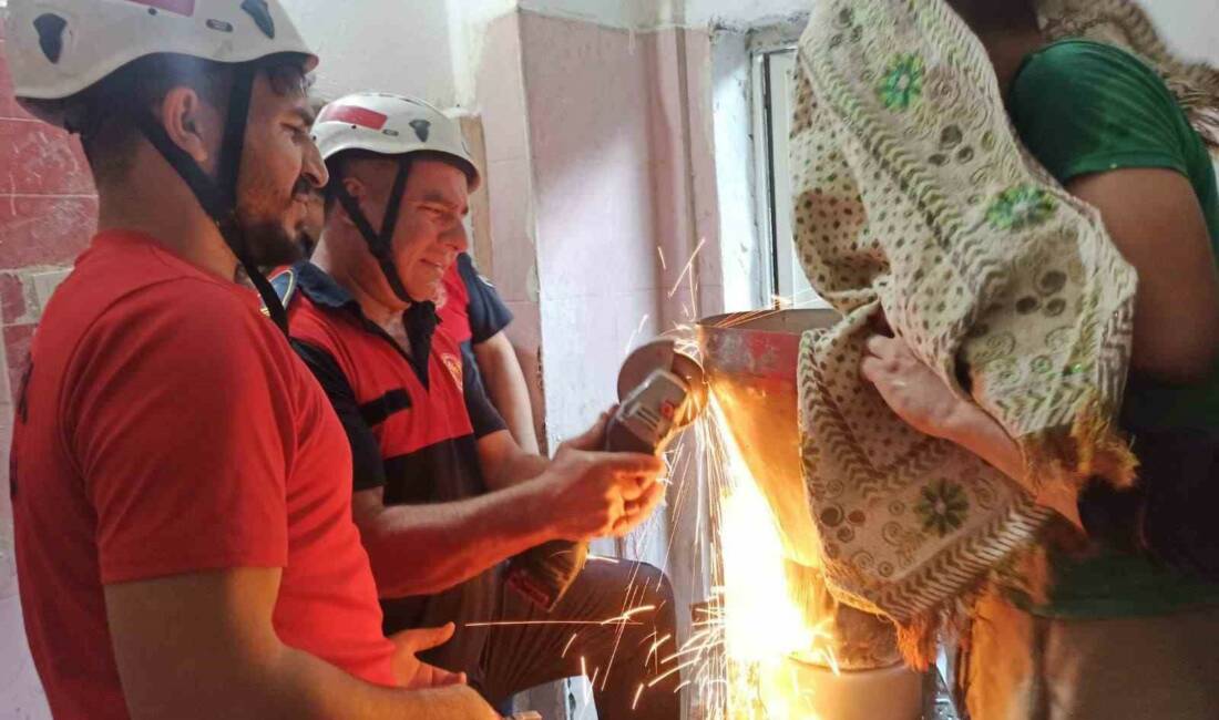 Şanlıurfa'nın Eyyübiye ilçesinde 13