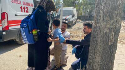 Adıyaman merkez Mimar Sinan Mahallesi'nde, yolun karşı tarafına geçmeye çalışan