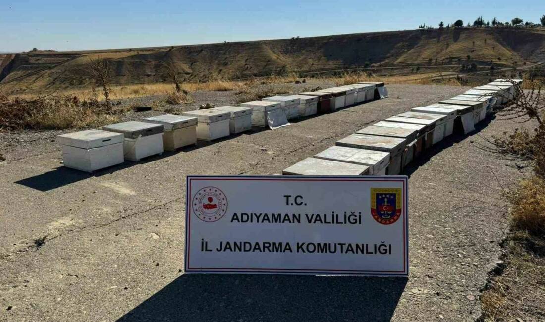 Adıyaman’da 35 adet arı