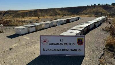 Adıyaman’da 35 adet arı kovanını çaldığı iddia edilen bir şahıs,