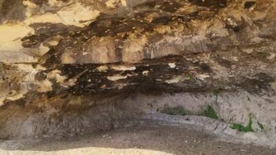 Adıyaman’da, Atatürk Barajı Göleti kıyısında yapılan araştırmalarda, yaklaşık 3 bin