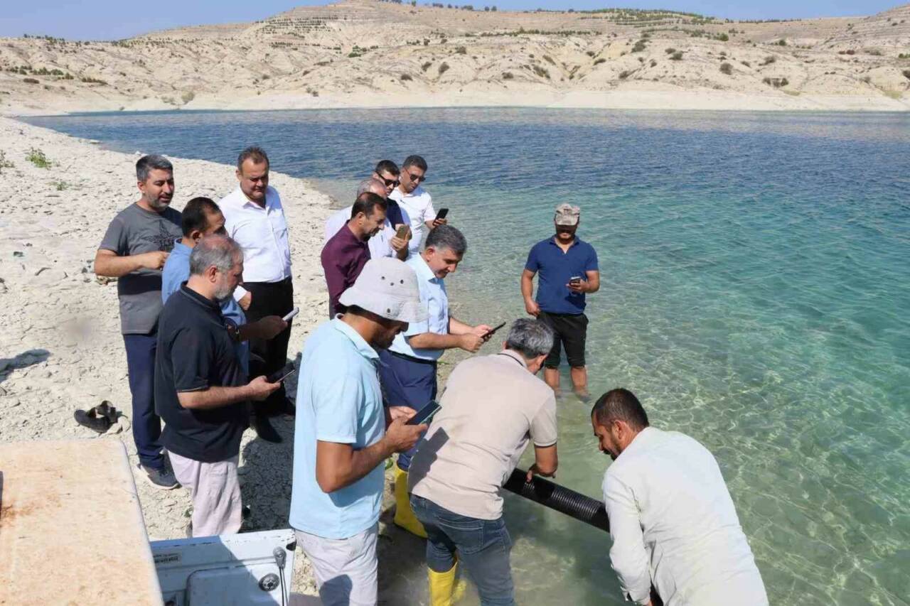 Adıyaman’da, Atatürk Baraj Göleti’ne 2 milyon 550 bin şabut (Barbus