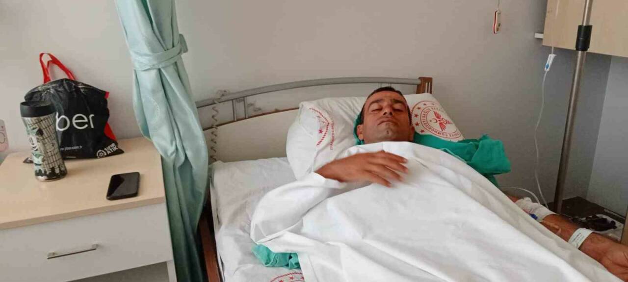 Halkların Eşitlik ve Demokrasi Partisi (DEM Parti) yönetimindeki Diyarbakır Sur