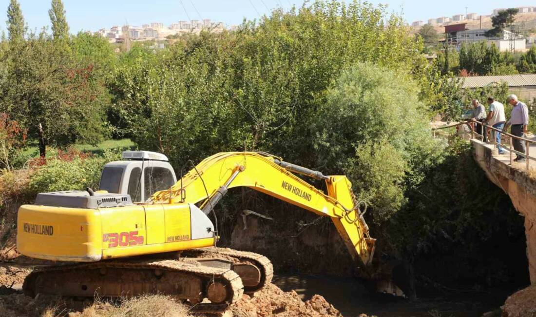 Nizip Belediyesi, Nizip Çayı’nın