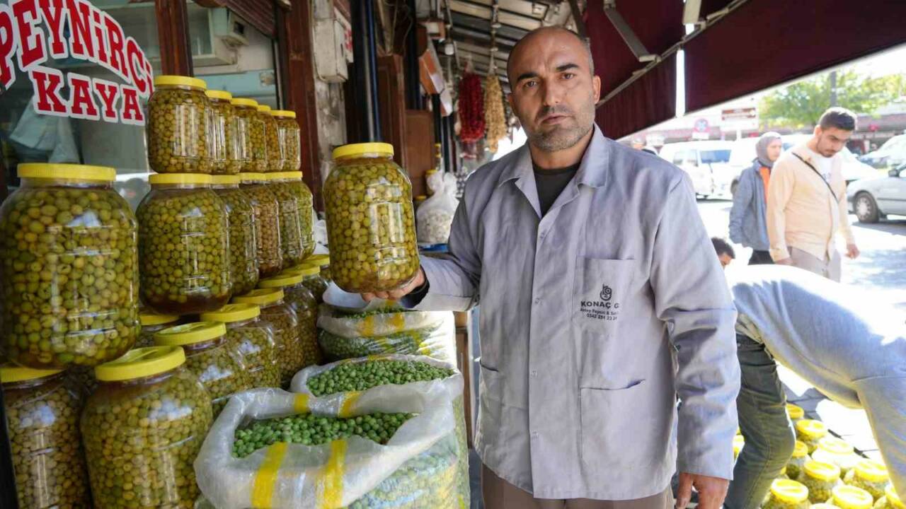 Gaziantep’te Sofralık Yeşil Zeytin Tezgaha İndi