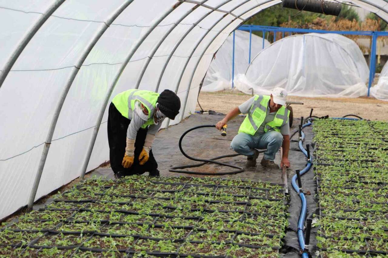 Diyarbakır Büyükşehir Belediyesi, kentin kavşak ve refüjlerini süslemek amacıyla kendi