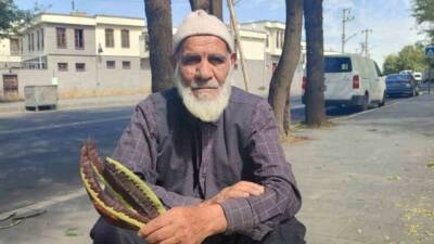 DİYARBAKIR'DA 74 YAŞINDAKİ ABDULLAH TUĞRUL, AĞAÇLARDAN TOPLADIĞI KEÇİBOYNUZLARINI ÇAY GİBİ