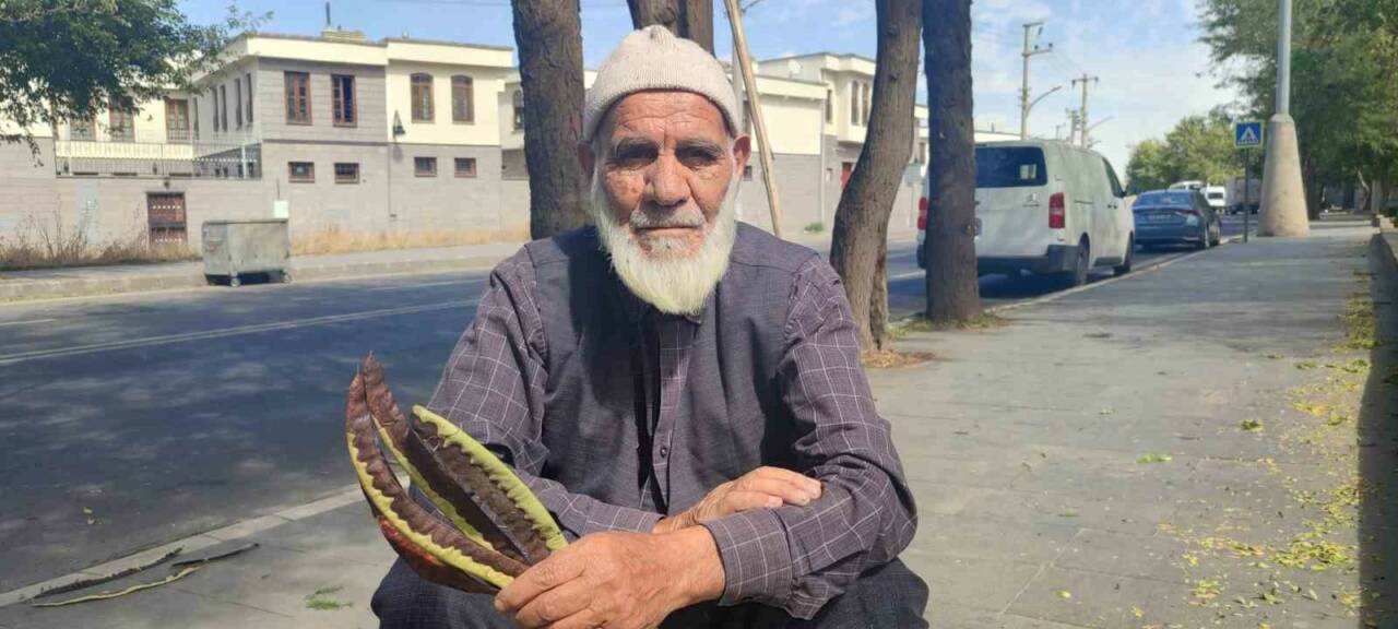 DİYARBAKIR'DA 74 YAŞINDAKİ ABDULLAH TUĞRUL, AĞAÇLARDAN TOPLADIĞI KEÇİBOYNUZLARINI ÇAY GİBİ