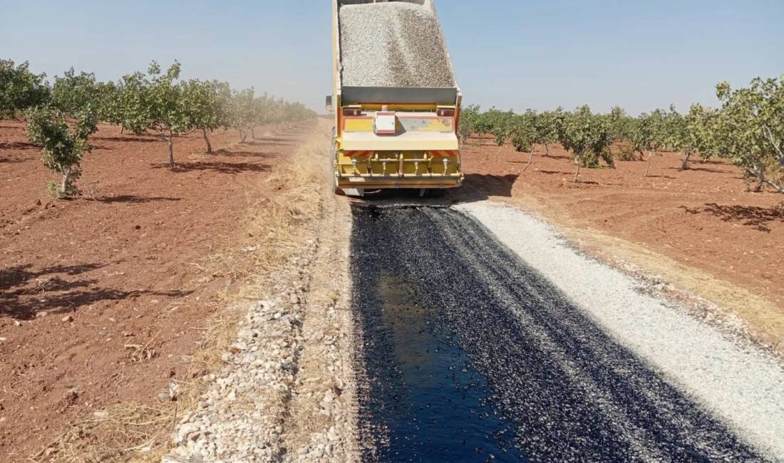 Gaziantep’in Nizip ilçesinde, yol