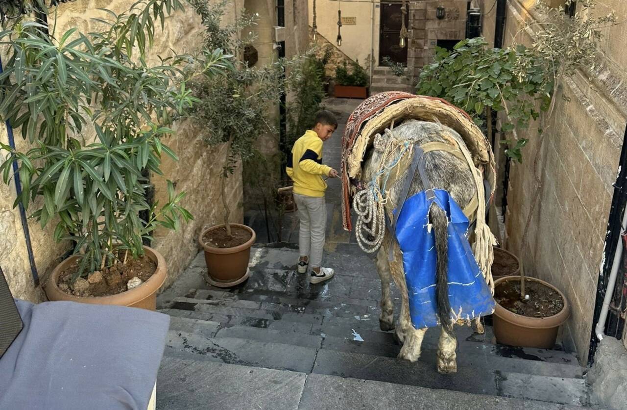 Zor koşullar altında ağır yükler taşıyarak çöp toplama işine katkı