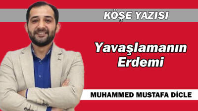 Yavaşlamanın Erdemi