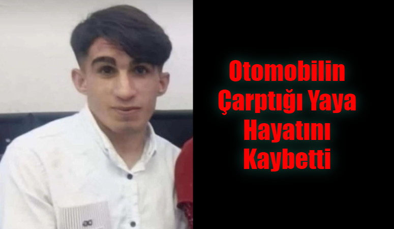 Otomobilin Çarptığı Yaya Hayatını Kaybetti