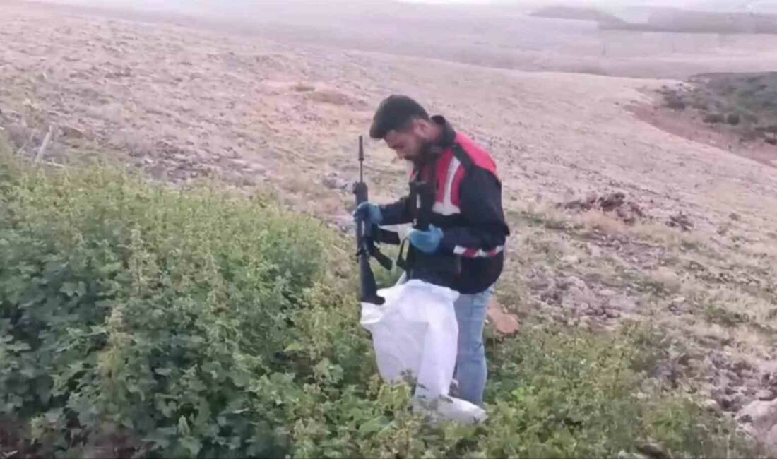 Şanlıurfa'da jandarma, silah kaçakçılığına