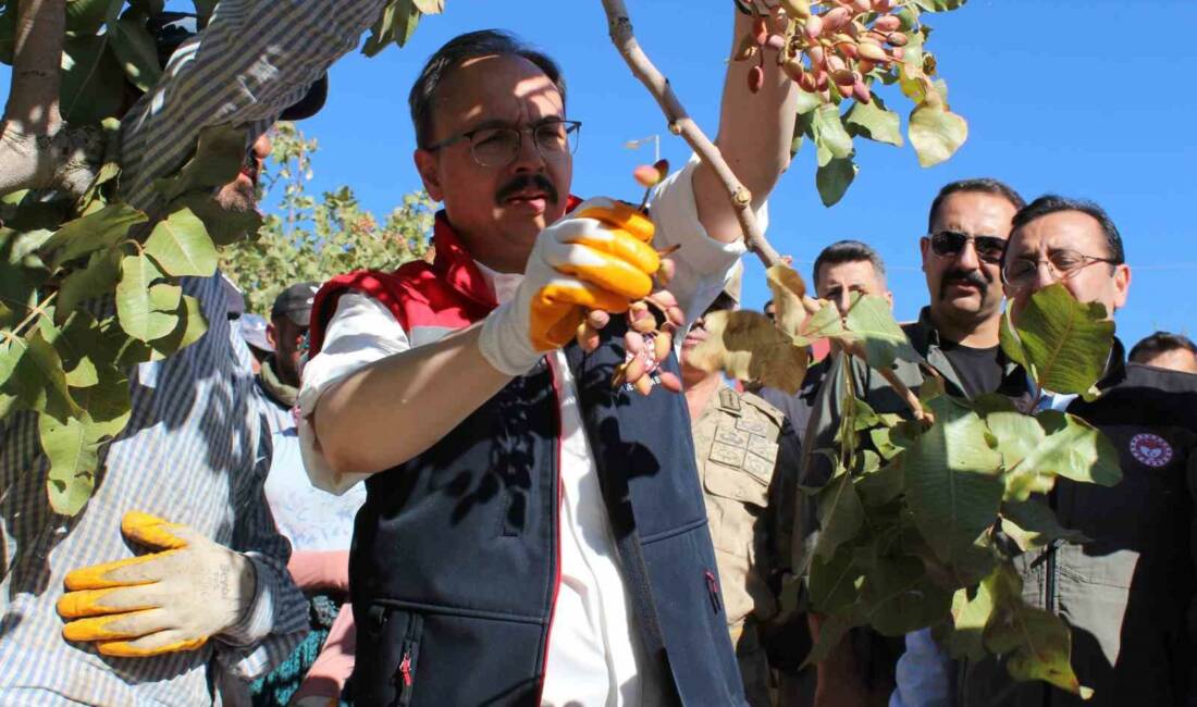 Siirt’in Tillo ilçesinde bu